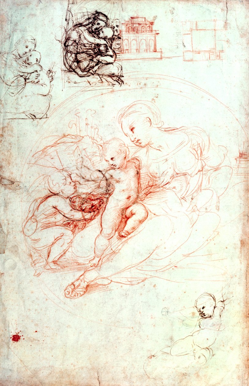 Estudo para a Madona Alba, c.1508-09 de Raffaello Sanzio Raphael