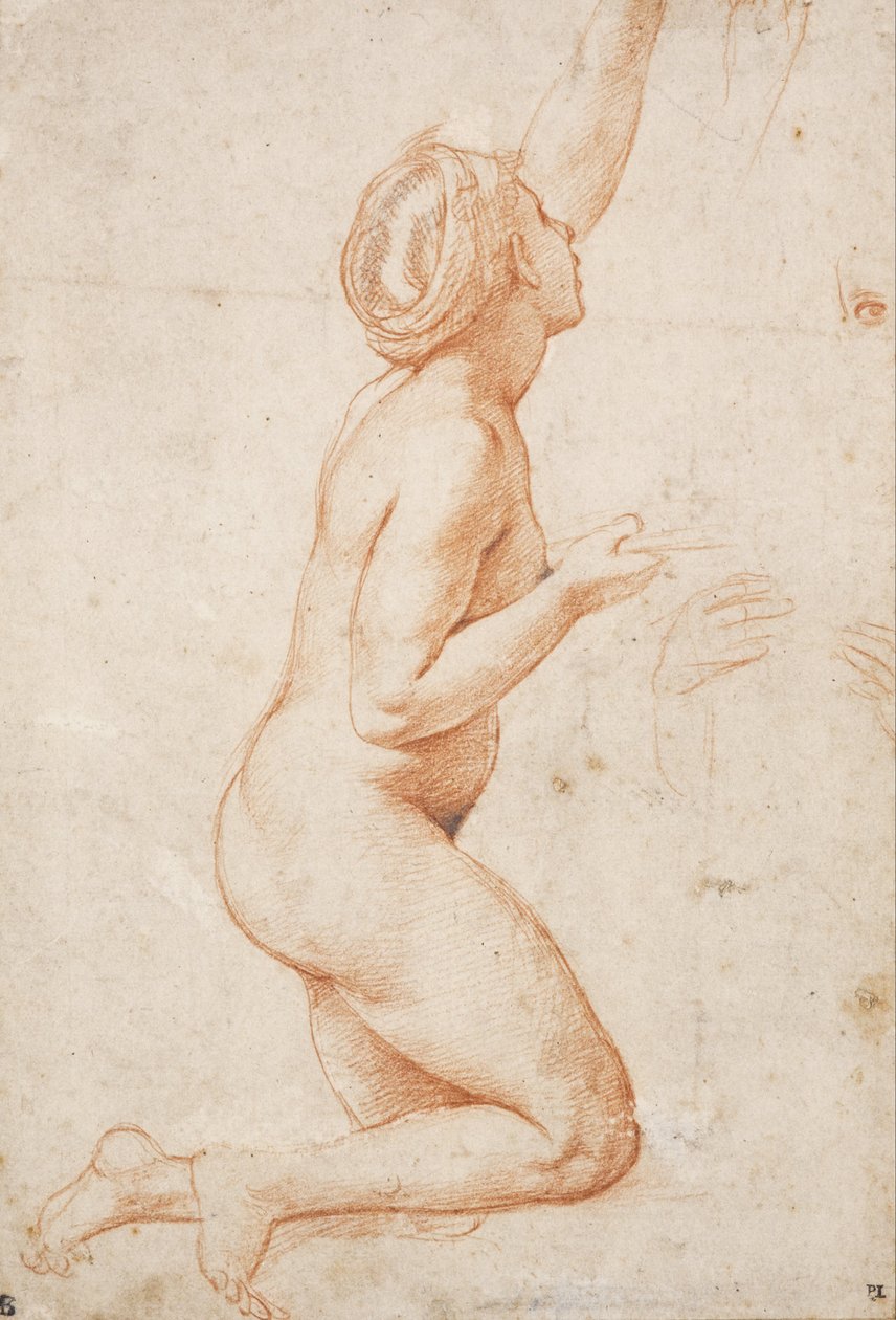 Um, ajoelhando-se, mulher nua, com, dela, esquerda, braço levantado de Raffaello Sanzio Raphael