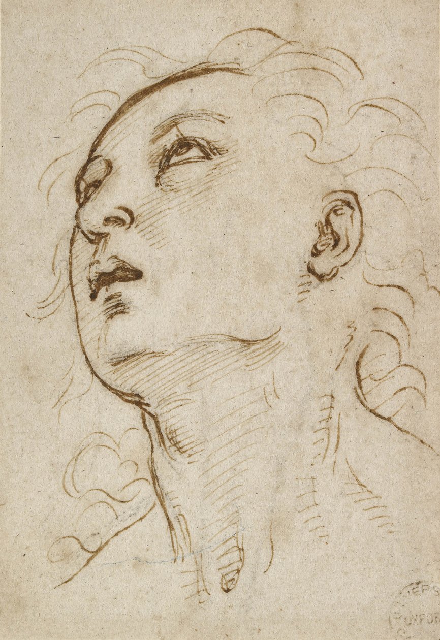 Cabeça de um jovem olhando para cima, c. 1497-1504 (caneta e tinta marrom sobre ponta de metal em papel creme) de Raffaello Sanzio Raphael
