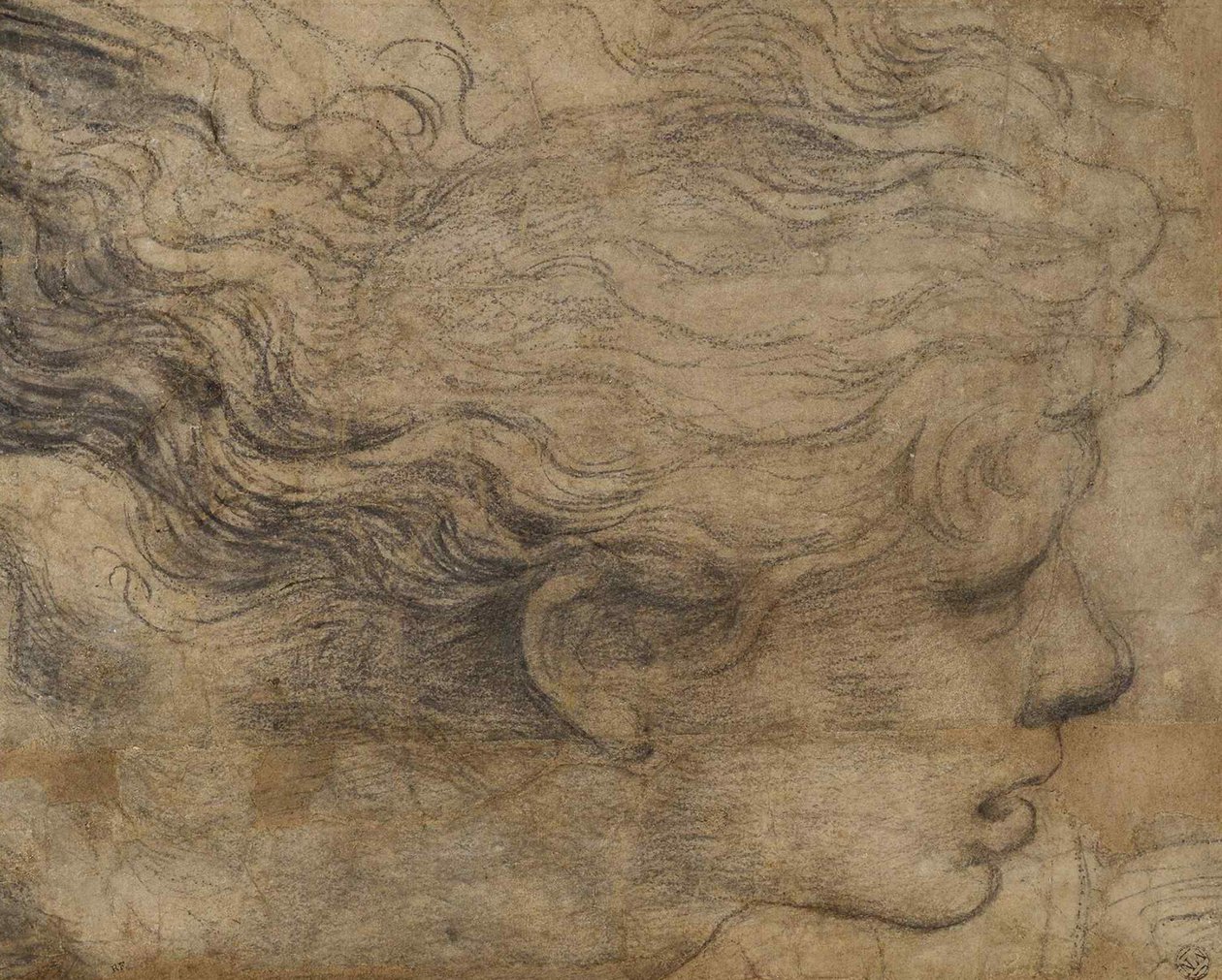 Cabeça de um anjo. de Raffaello Sanzio Raphael
