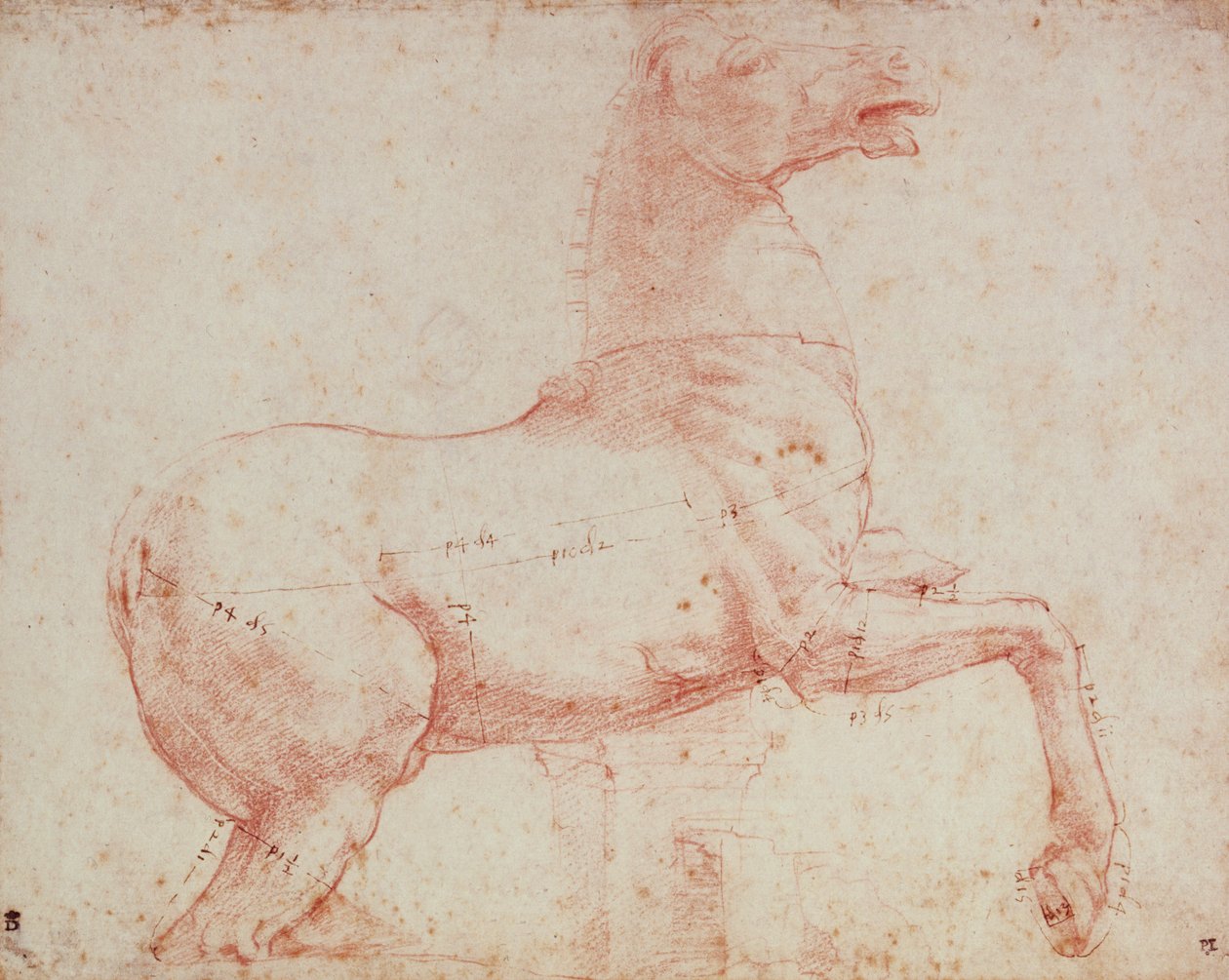 Estudo para o Cavalo de Mármore do Quirinal (giz vermelho sobre papel) de Raffaello Sanzio Raphael