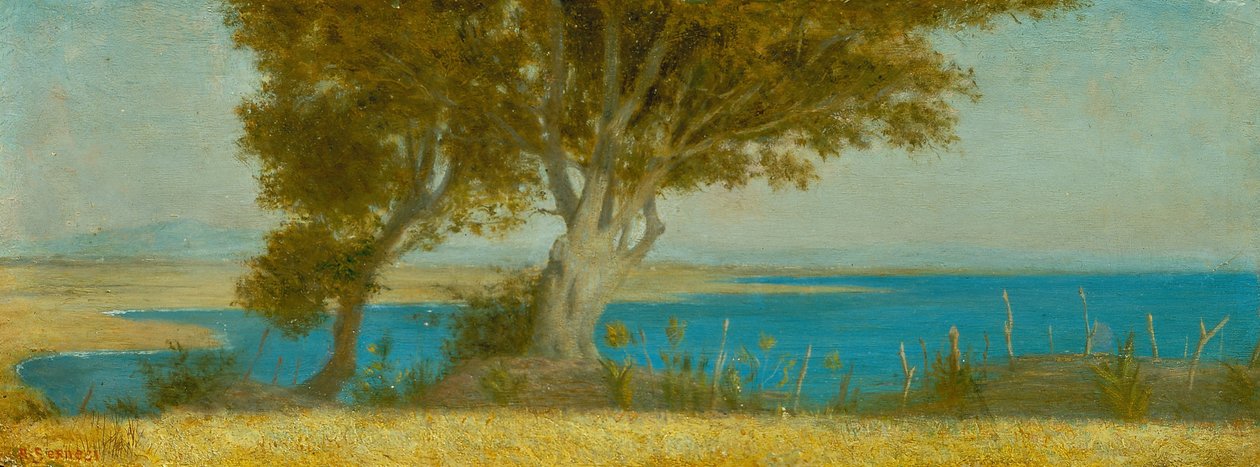 Marina di Castiglioncello de Raffaello Sernesi