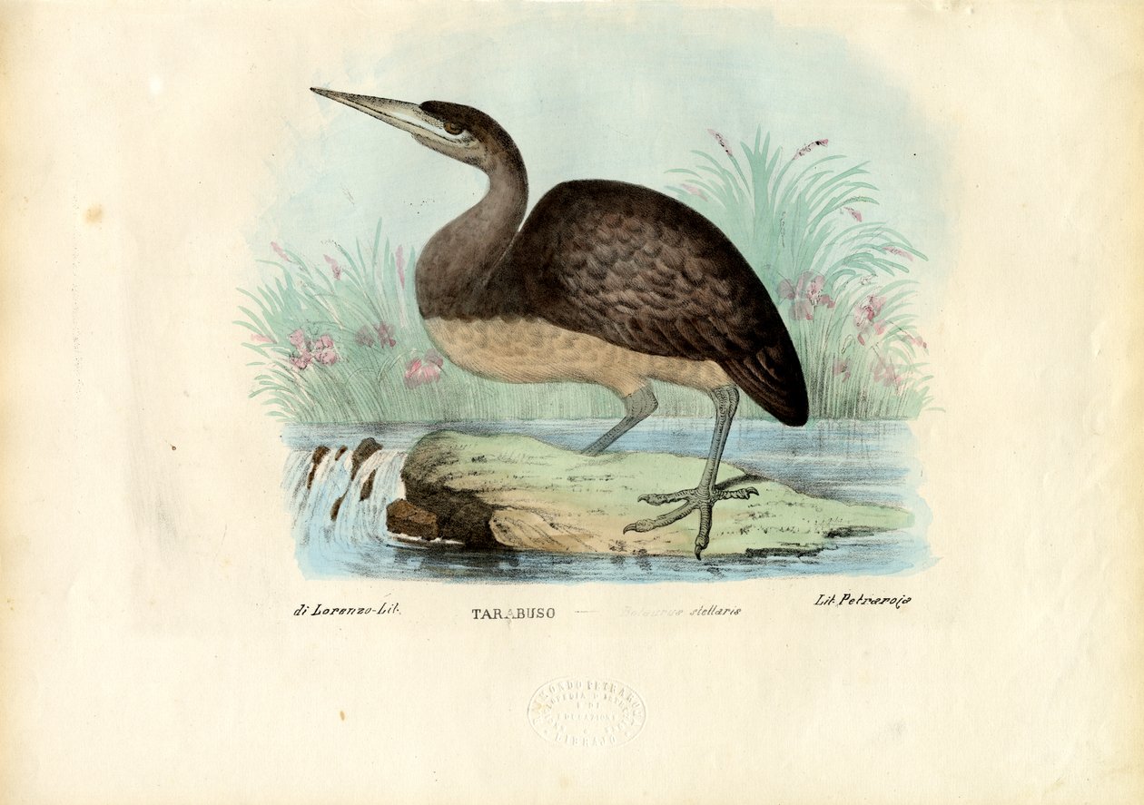 Águeda, 1863-79 de Raimundo Petraroja