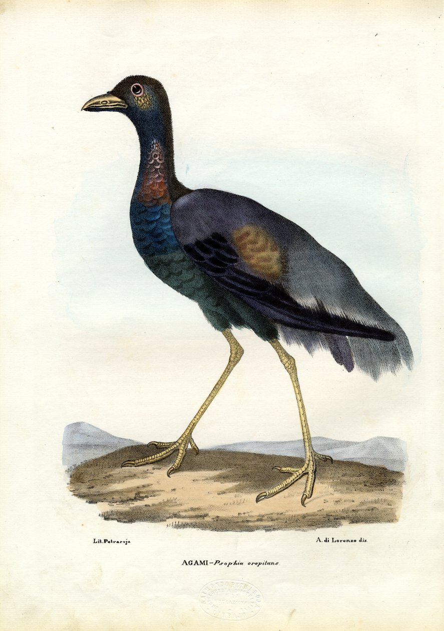 Trompetista de asas negras, 1863-79 de Raimundo Petraroja