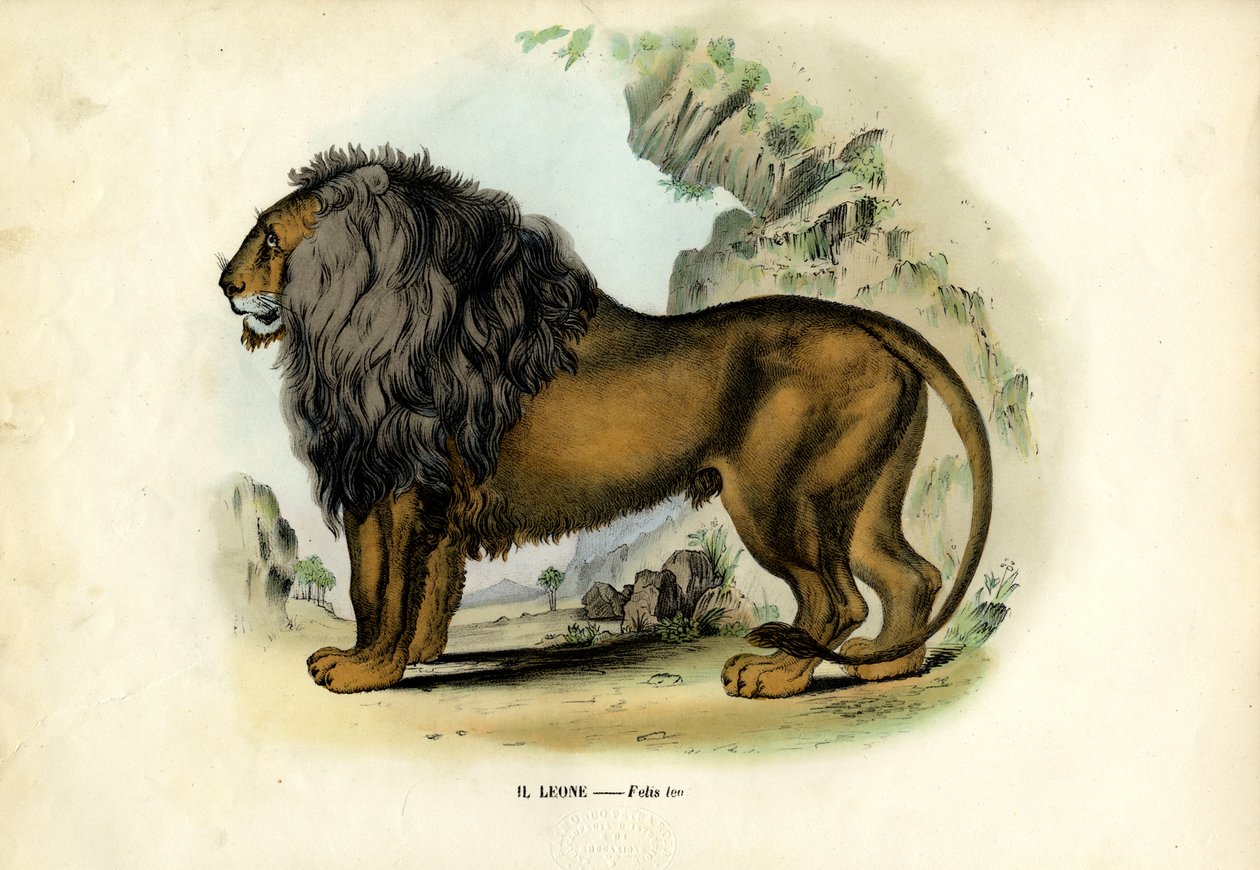 Leão, 1863-79 de Raimundo Petraroja