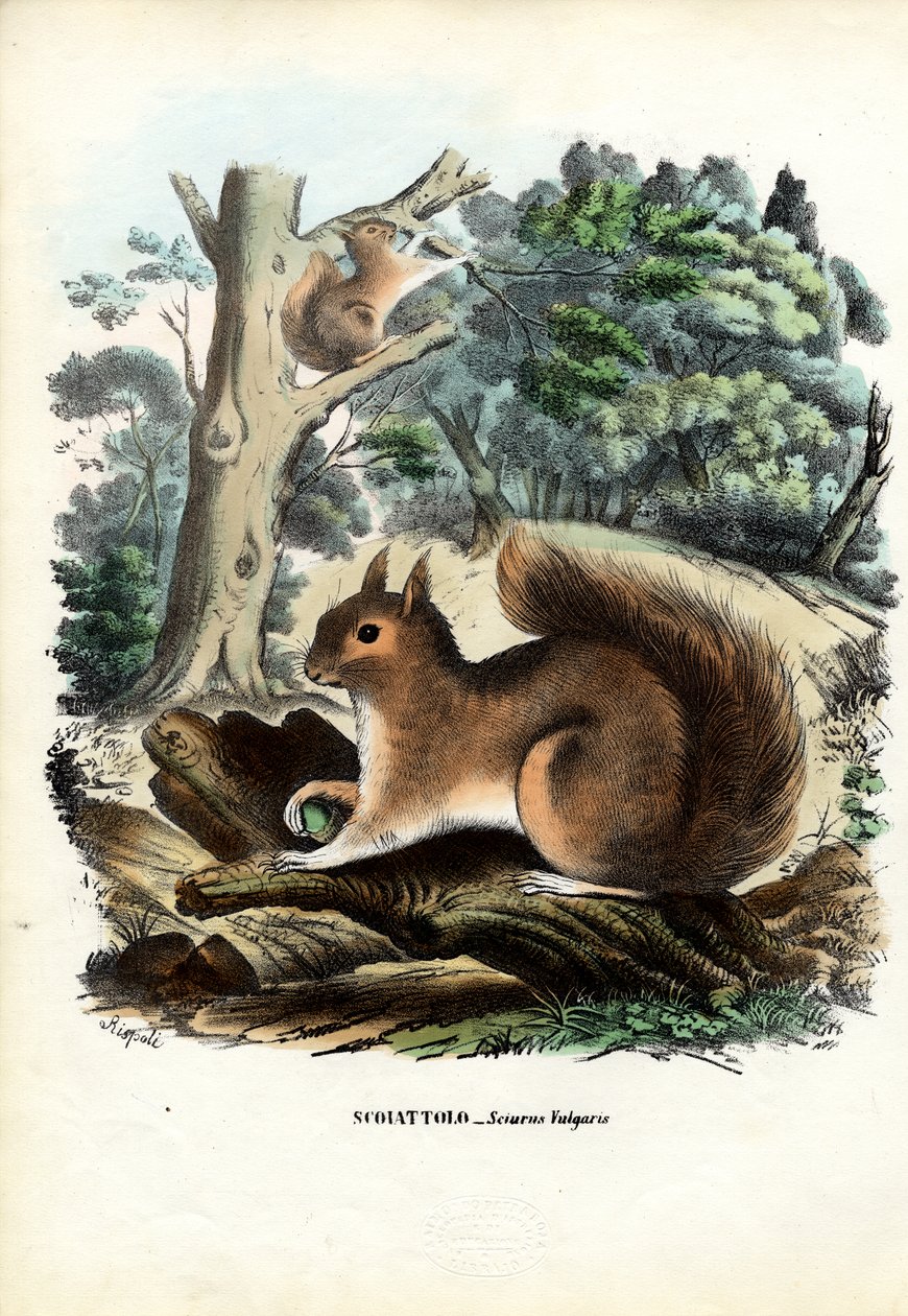 Esquilo, 1863-79 de Raimundo Petraroja