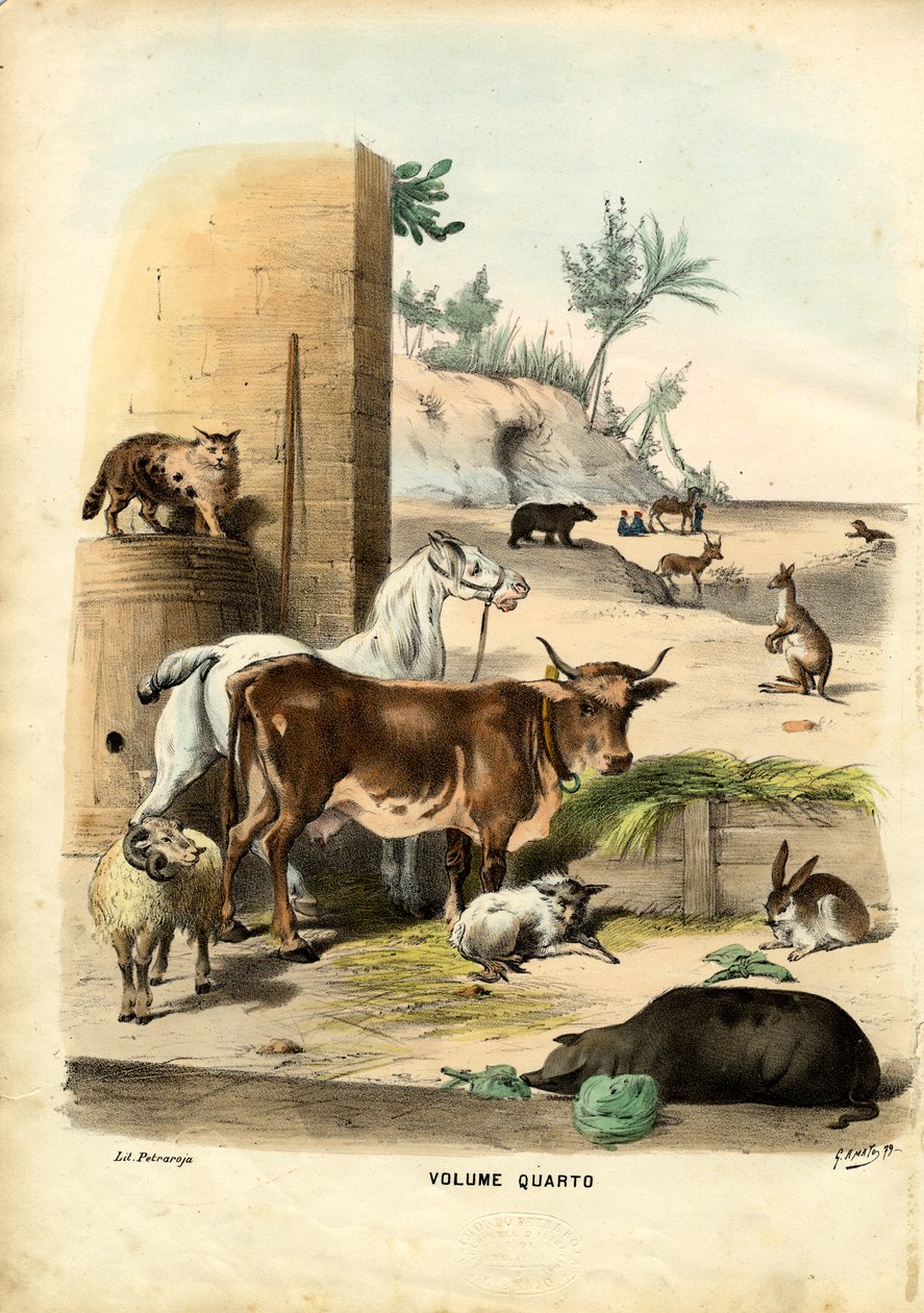 Página de título, 1863-79 de Raimundo Petraroja