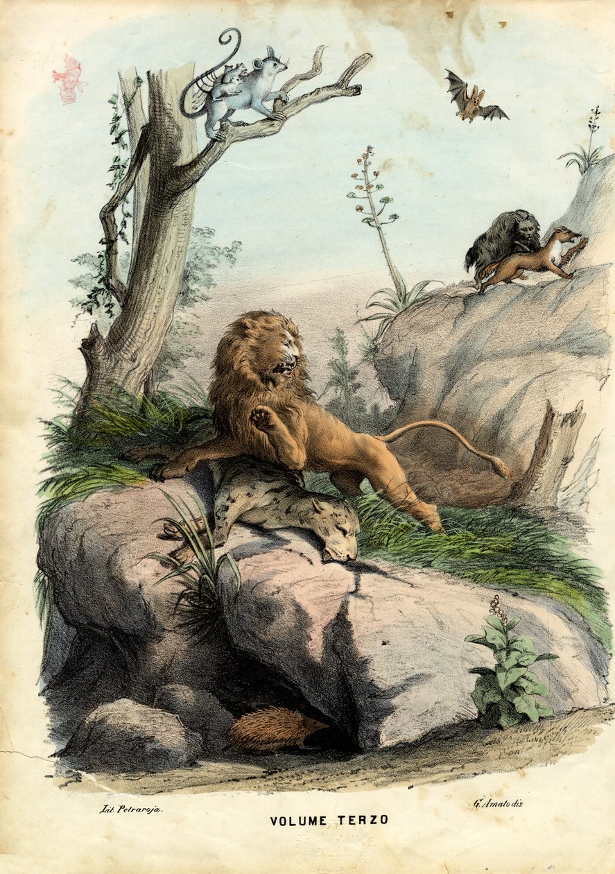 Página de título, 1863-79 de Raimundo Petraroja