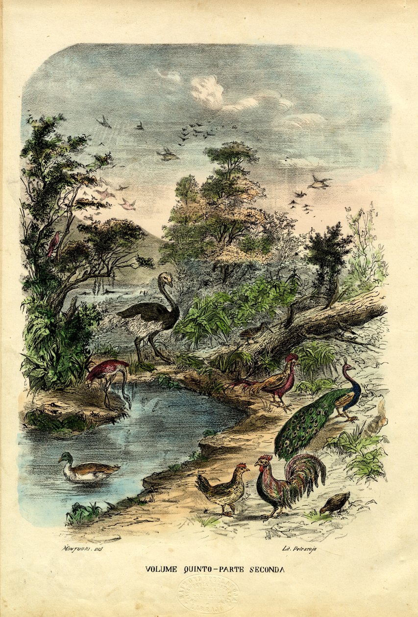 Página de título, 1863-79 de Raimundo Petraroja