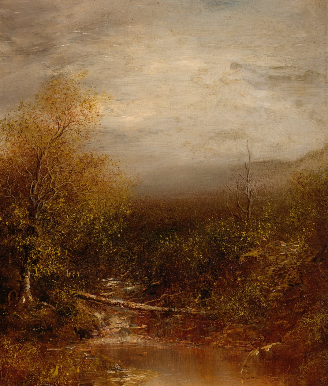 Piscina nas Adirondacks de Ralph Albert Blakelock