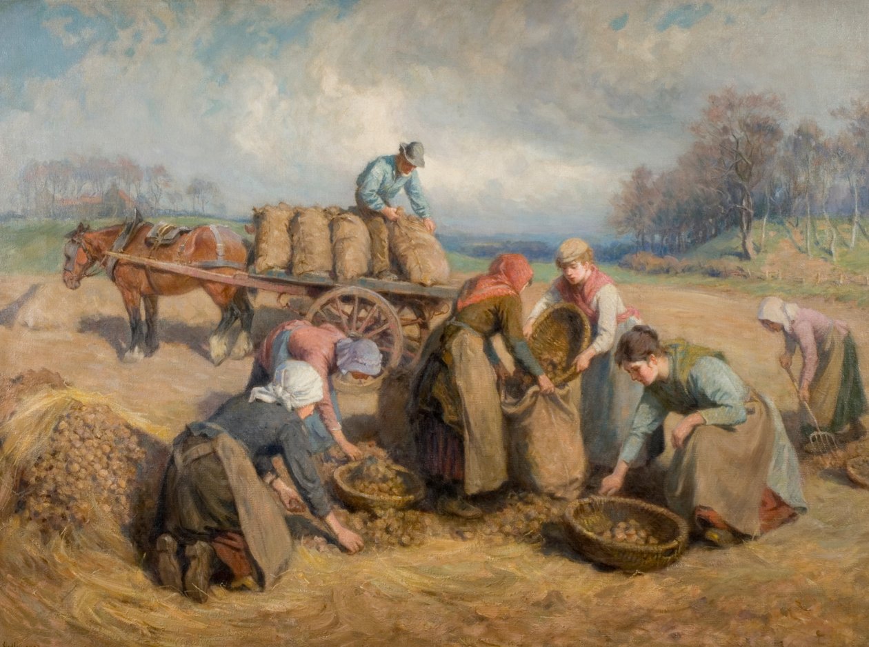 Coletores de batatas, Northumberland, 1903 de Ralph Hedley