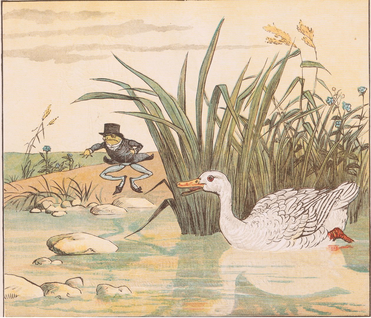 Um pato lírio branco devorou-o de Randolph Caldecott