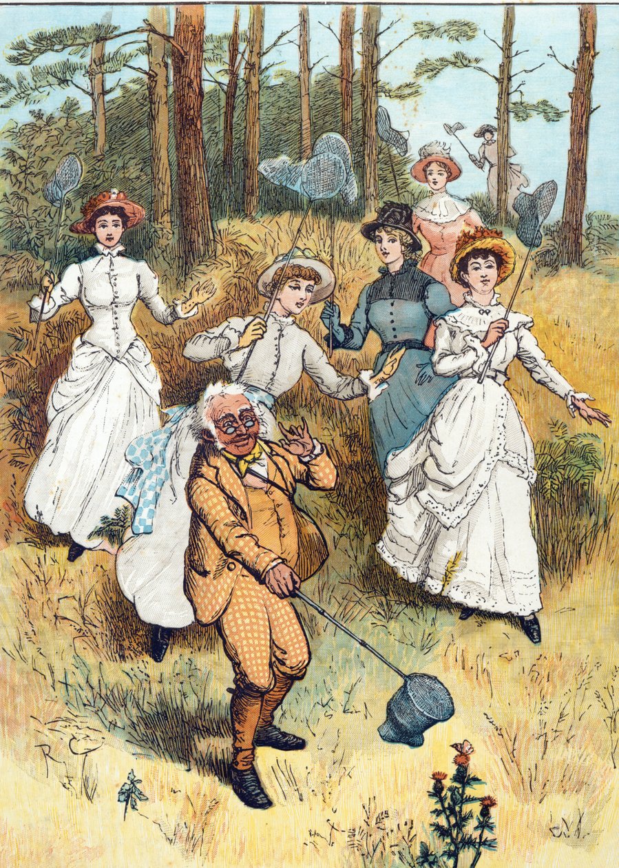 A aula do professor (wc sobre caneta, tinta e lápis no papel) de Randolph Caldecott