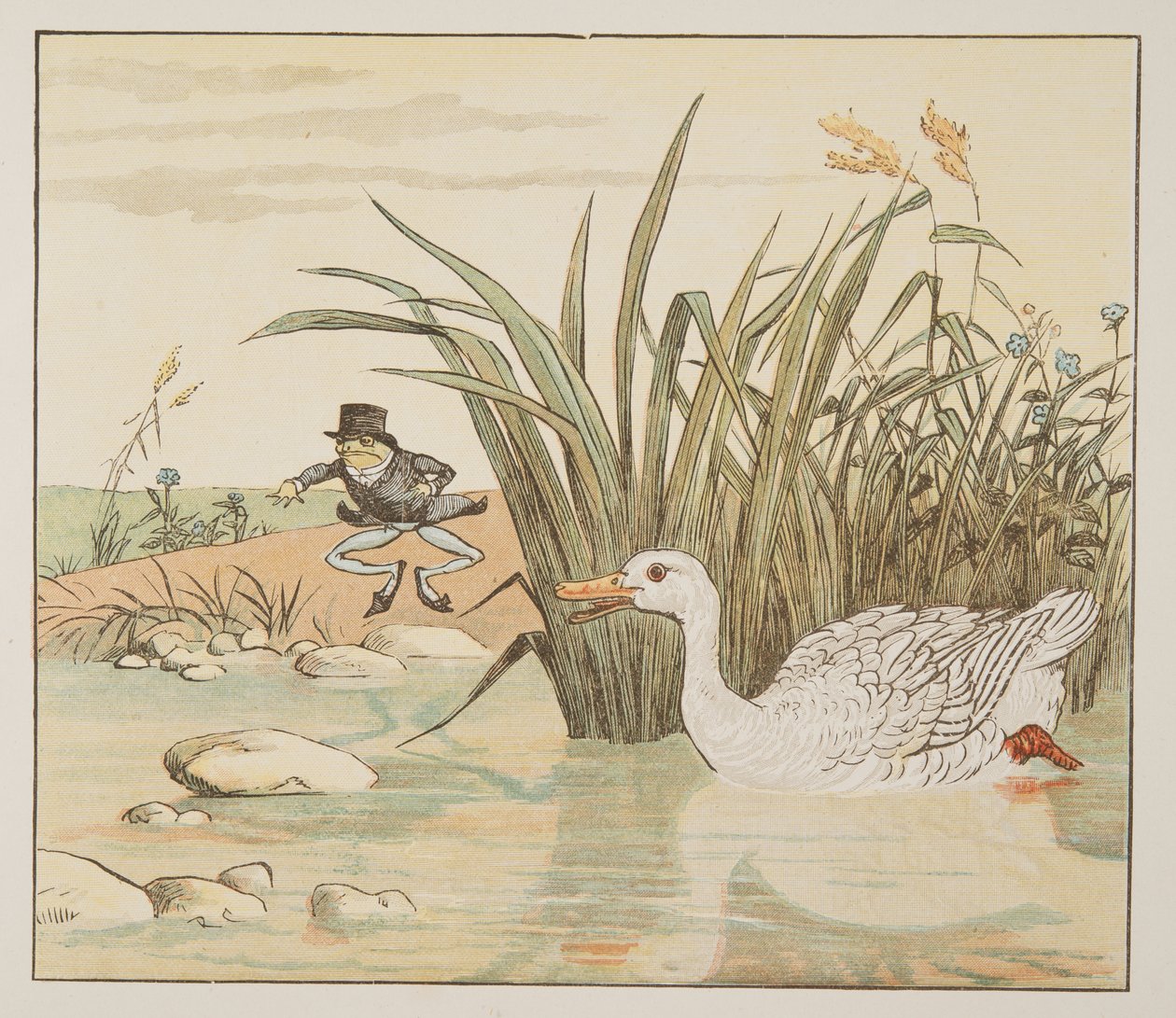 Um pato branco lírio-branco veio e devorou-o, de The Hey Diddle Diddle Picture Book, pub.1882 (gravação a cores) de Randolph Caldecott