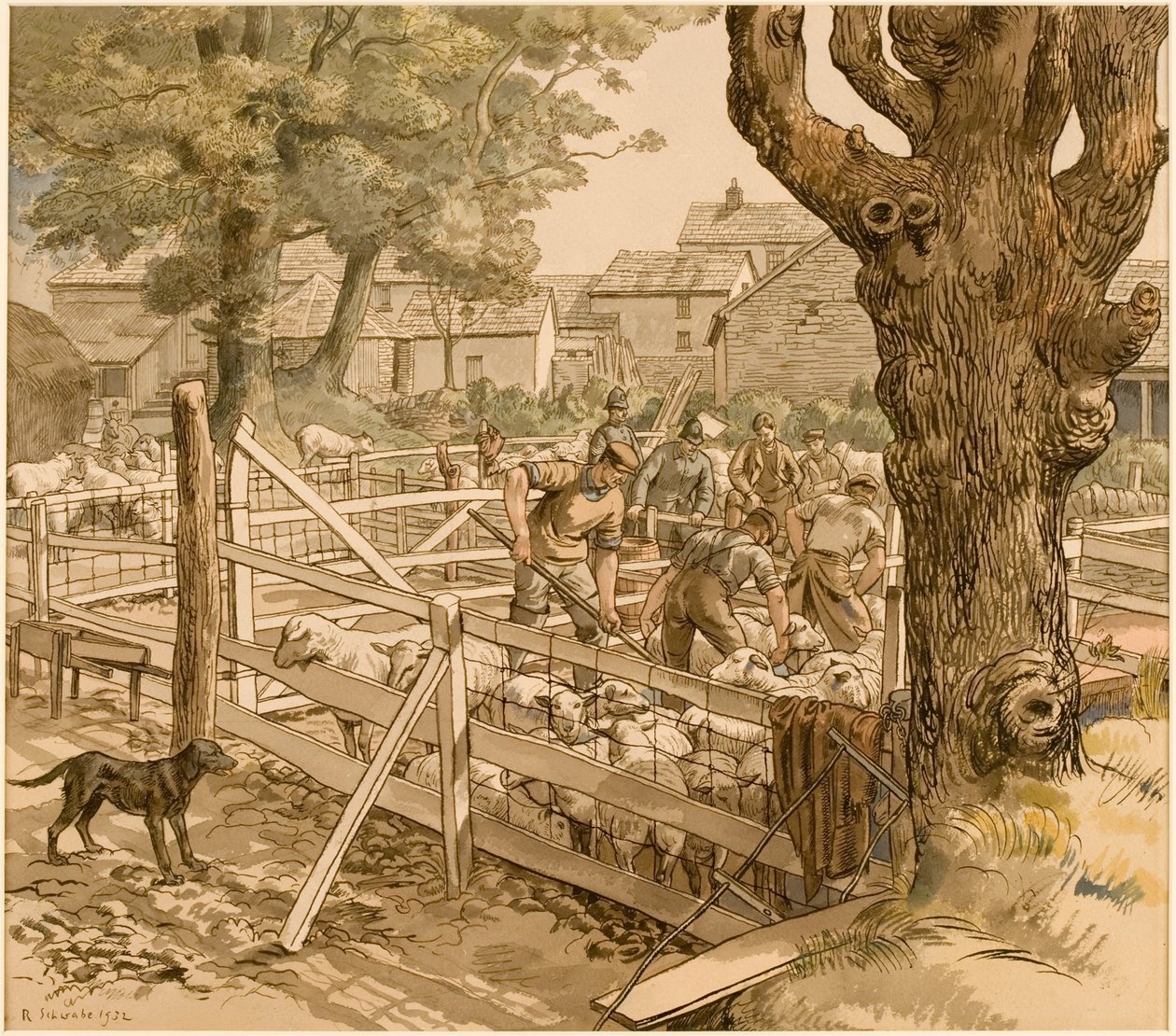 Mergulho de ovelhas na Cornualha de Randolph Schwabe
