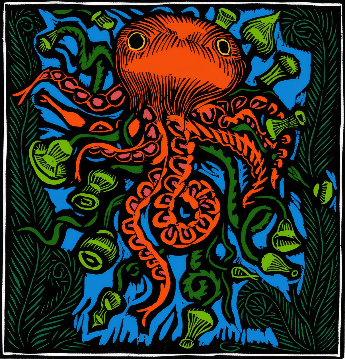 Zoologia / Vida marinha / Polvo de Raoul Dufy