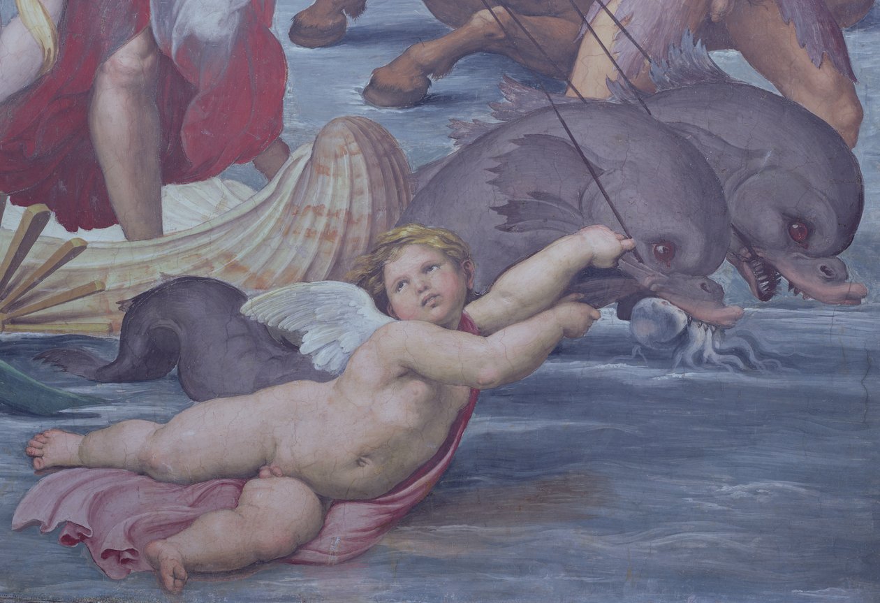 Galatea, detalhe de putto e golfinhos, detalhe 1506 afresco de 56473 de Raffaello Sanzio Raphael