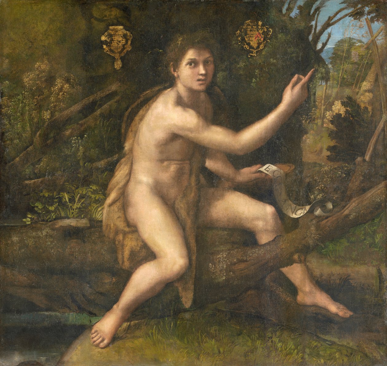 Pode ser pintado em 1516 por Adrien Gouffier de Raffaello Sanzio Raphael