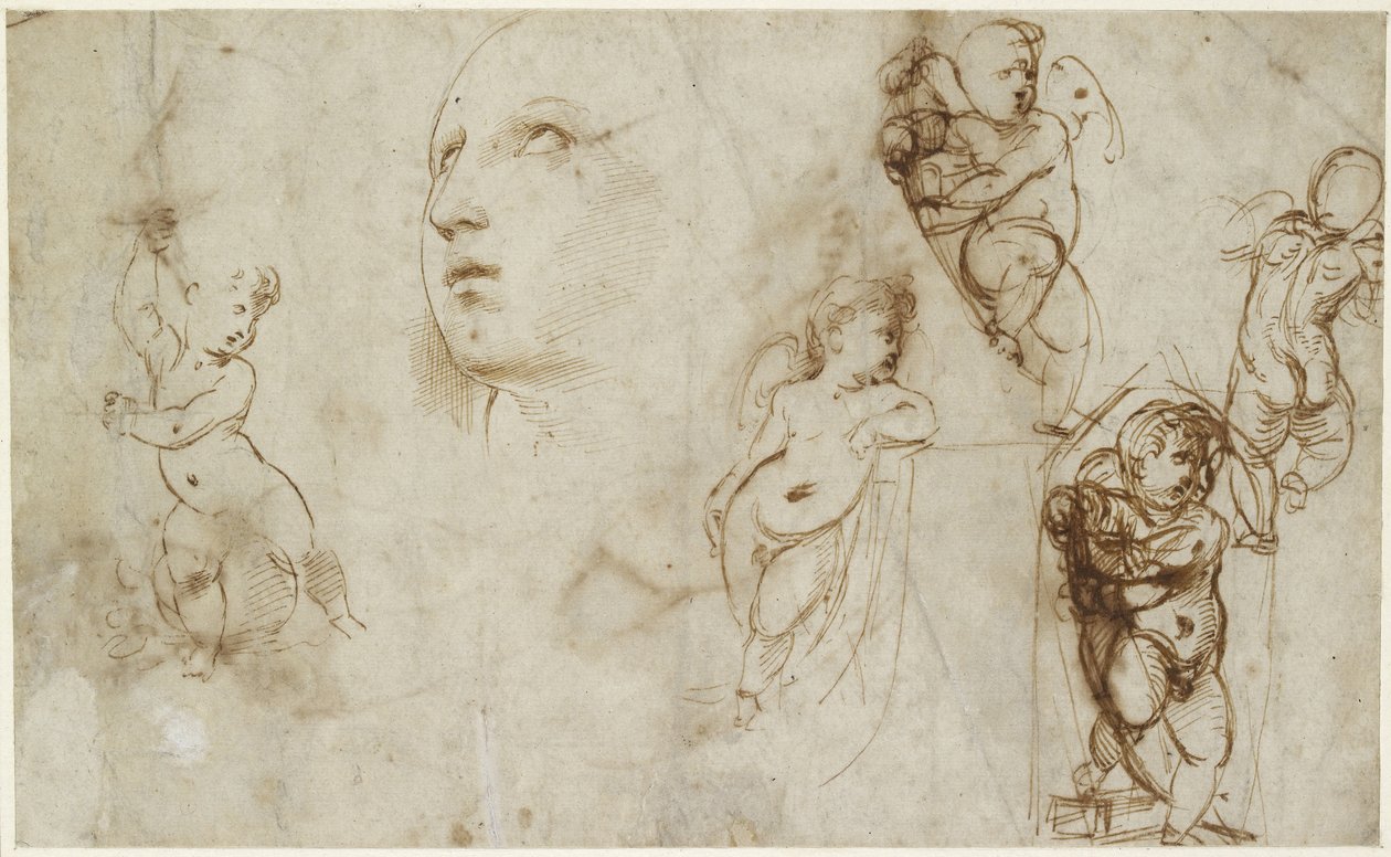Recto: Uma cabeça feminina para a St Catherine de Borghese-Beckford e vários putti, WA1846.177 de Raffaello Sanzio Raphael