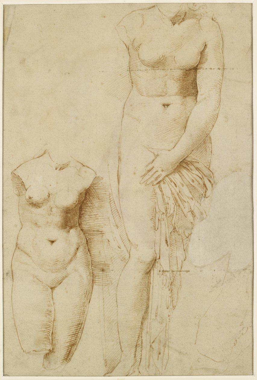 Recto: Duas figuras de Afrodite. Verso: Figura masculina em ação, WA1846.261 de Raffaello Sanzio Raphael