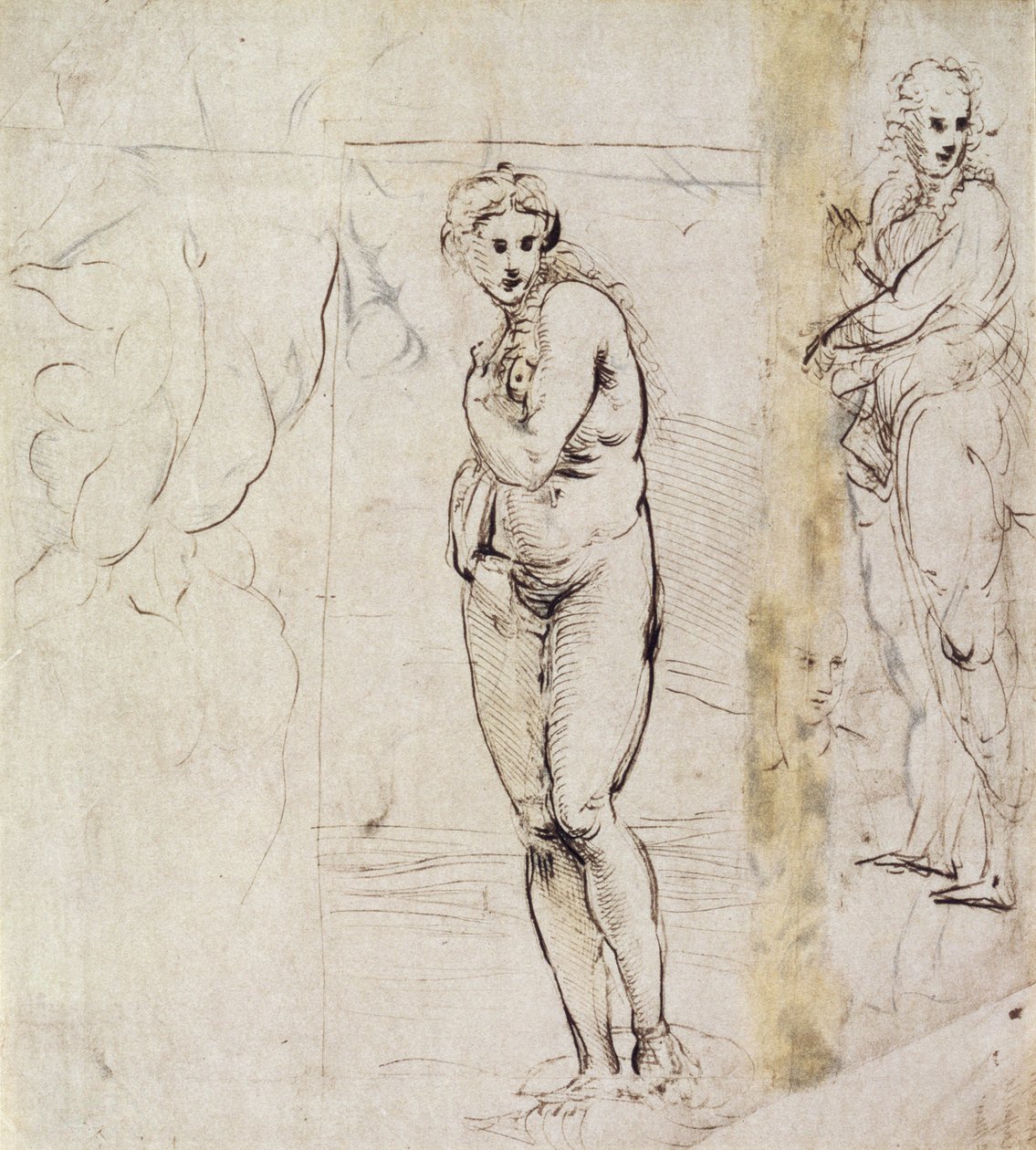 Estudo de Vênus (caneta e tinta) de Raffaello Sanzio Raphael