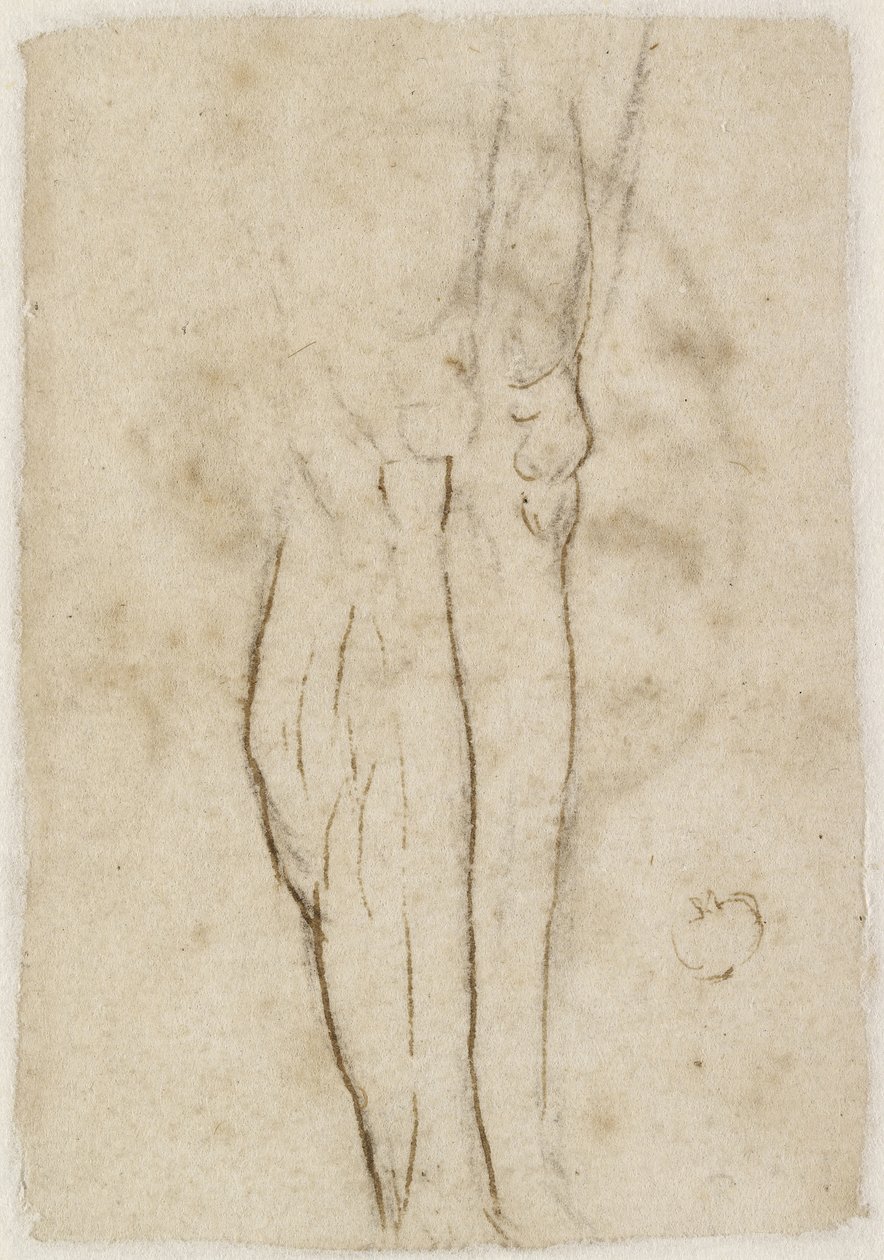 Verso: Esboço de um par de pernas, WA1846.156 de Raffaello Sanzio Raphael