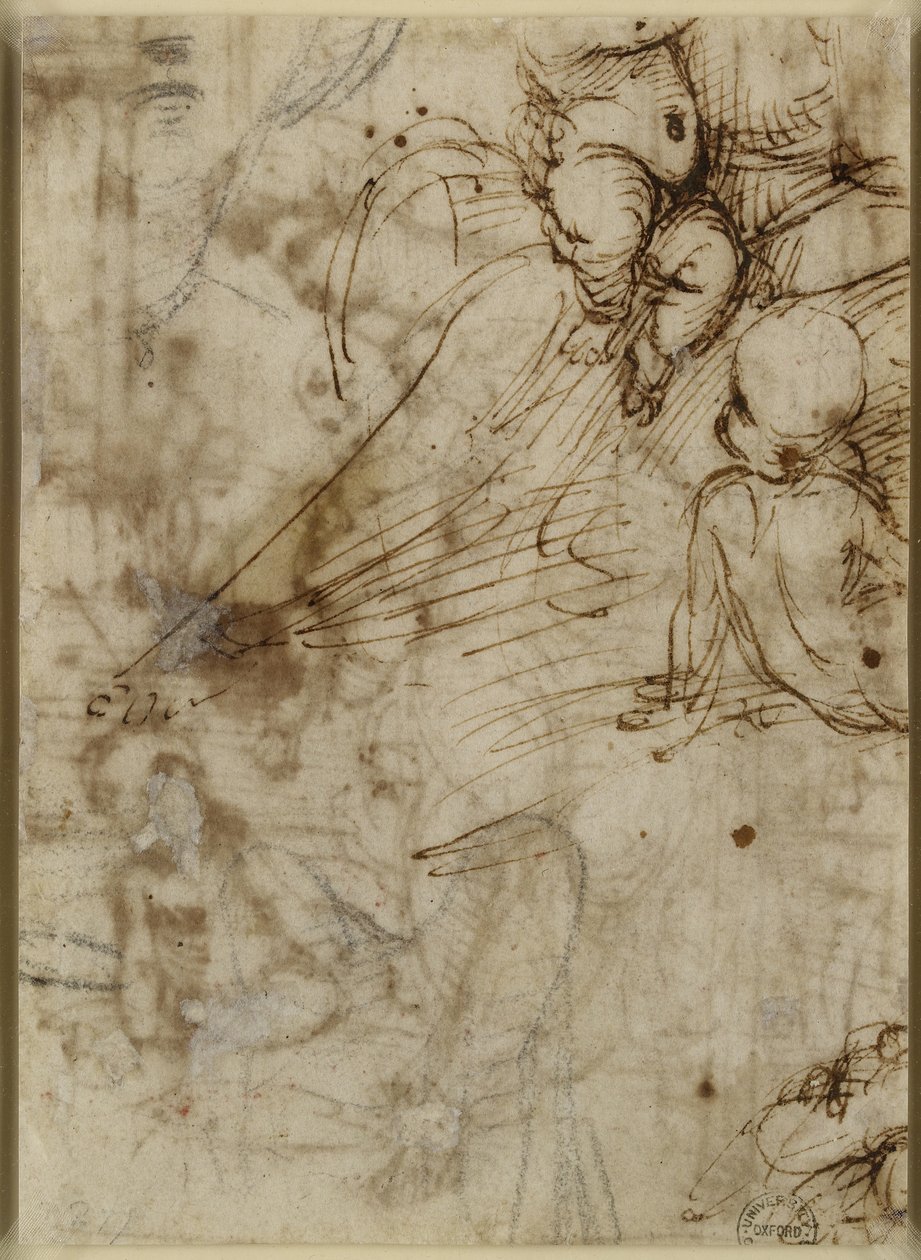 Verso: A Virgem, WA1846.162 de Raffaello Sanzio Raphael