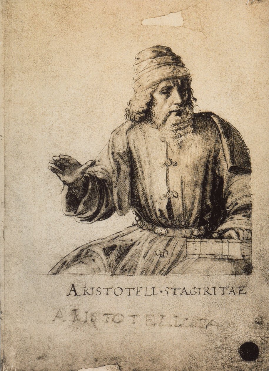 Aristóteles; desenho de Raphael. Gallerie dellAccademia, Veneza de Raffaello Sanzio Raphael