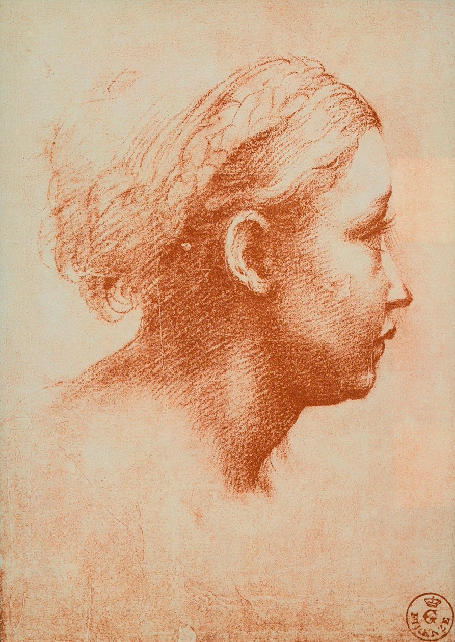 Cabeça feminina em perfil, desenho de Rafael. Gabinete de Desenhos e Gravuras, Uffizi, Florença de Raffaello Sanzio Raphael