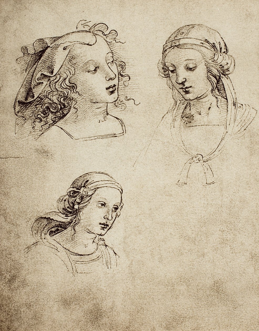 Estude para três cabeças femininas; desenho de Raphael. Gallerie dellAccademia di Venezia de Raffaello Sanzio Raphael
