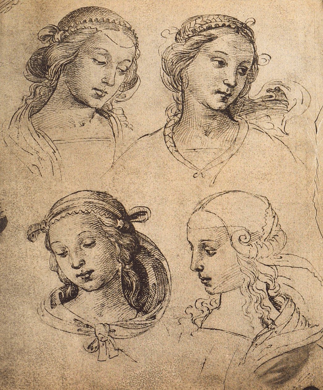 Estudo de quatro rostos femininos; desenho de Raphael. Gallerie dellAccademia, Veneza de Raffaello Sanzio Raphael