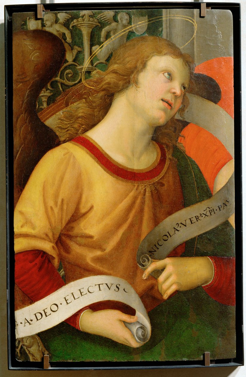 Anjo ... de Raphael (1483 1520)