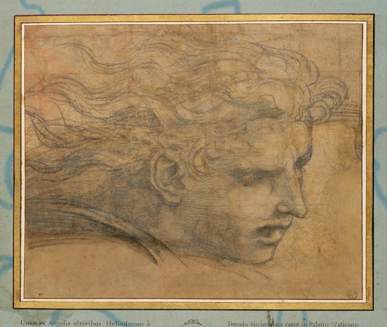 Cabeça de um jovem, três quartos para a direita ... de Raphael (1483 1520)