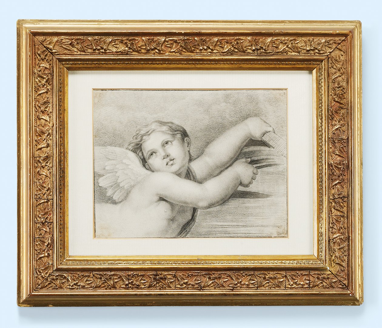 Cabeça de um putto (giz preto no papel) de after Raphael