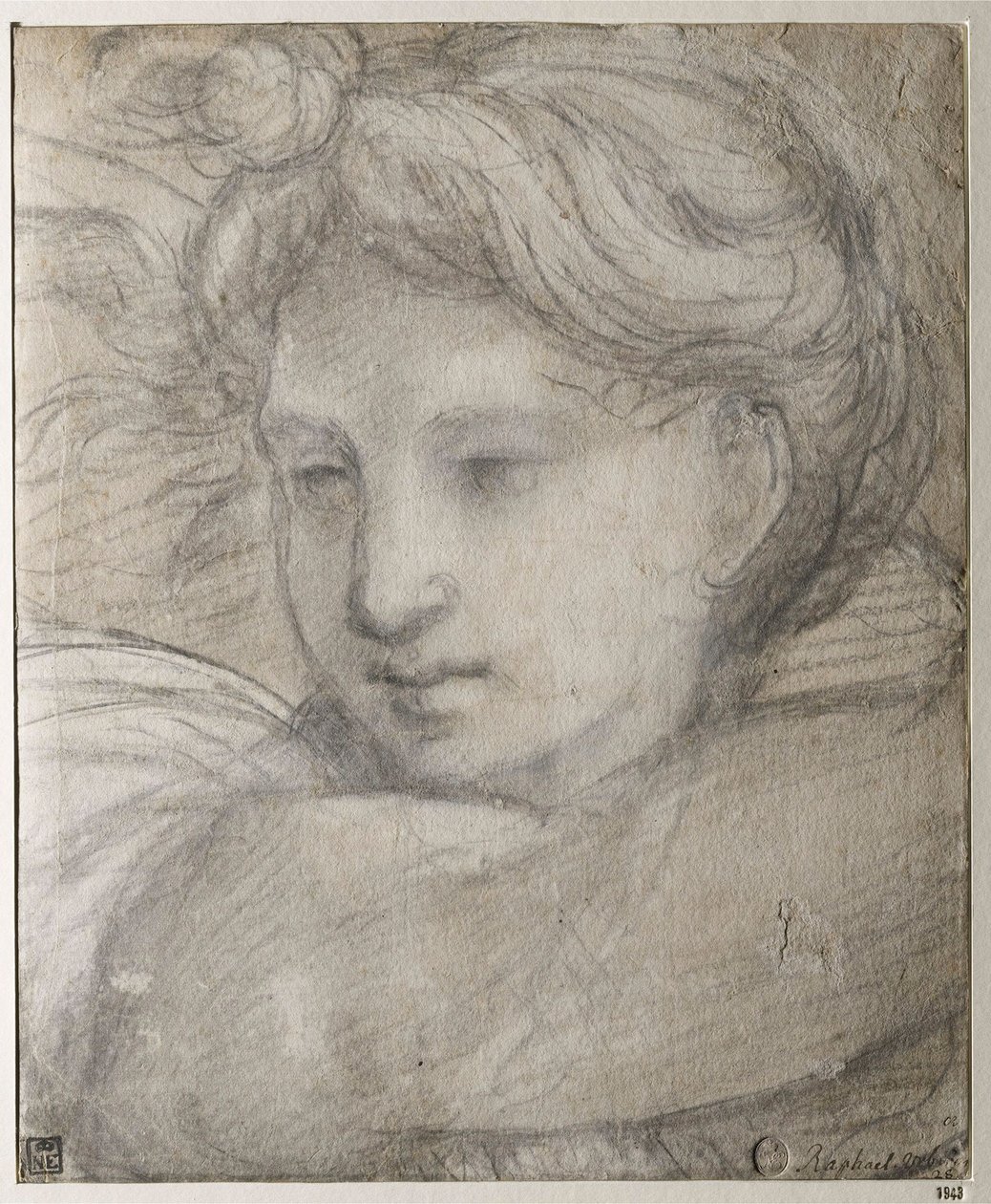 Raffaello Sanzio - Cabeça de um Anjo par Rafael (1483-1520), c. 1520 - Giz preto e branco sobre papel, 30,8x25,4 - Szepmuveszeti Muzeum, Budapeste de Raphael