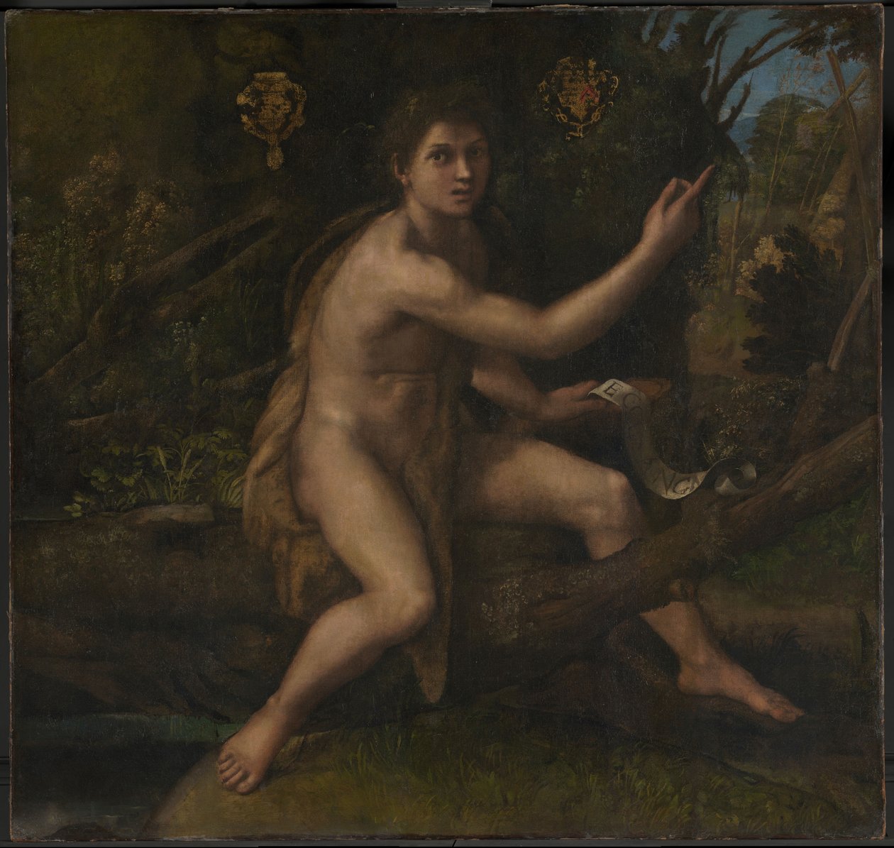 São João Baptista de Raphael (1483 1520)