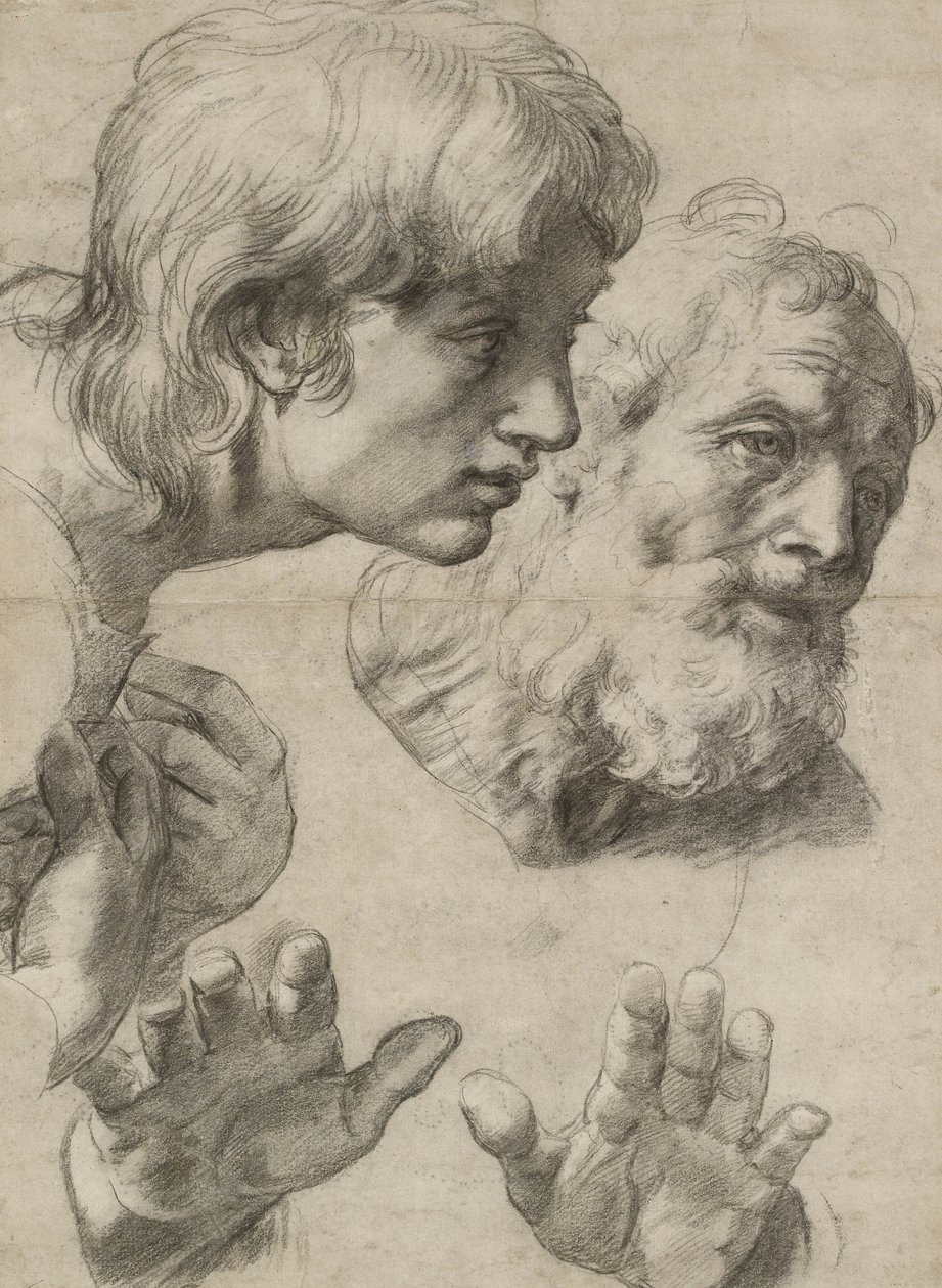 Estudos das cabeças de dois apóstolos e de suas mãos (giz preto com toques de branco em papel acinzentado) de Raphael