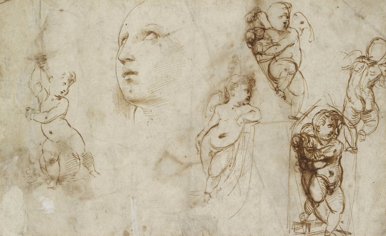 Vários estudos, principalmente para o Borghese-Beckford St Catherine (caneta e tinta castanha em papel não branco) de Raphael