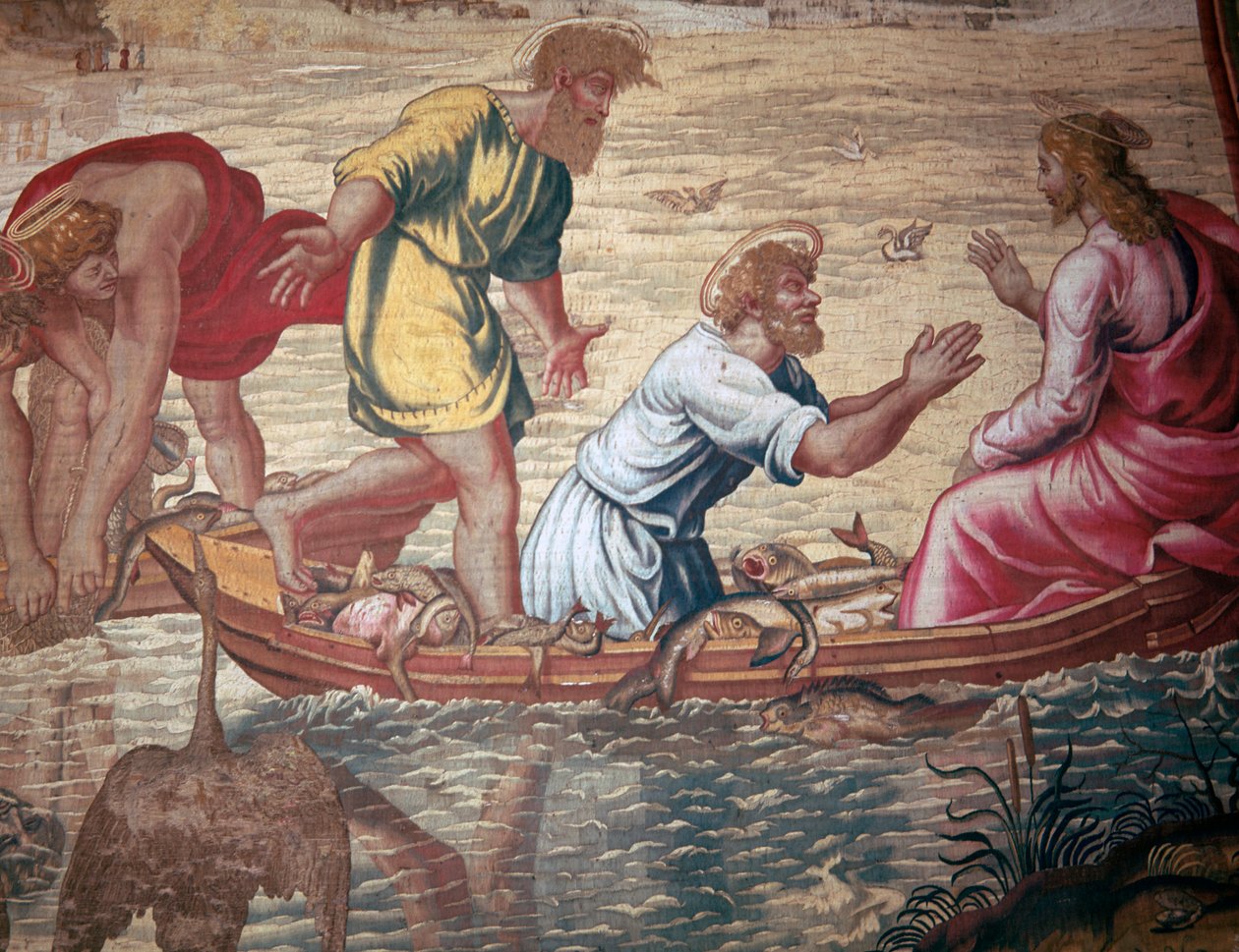 Desenhos animados do projecto milagroso de peixes, século 15 de Raphael
