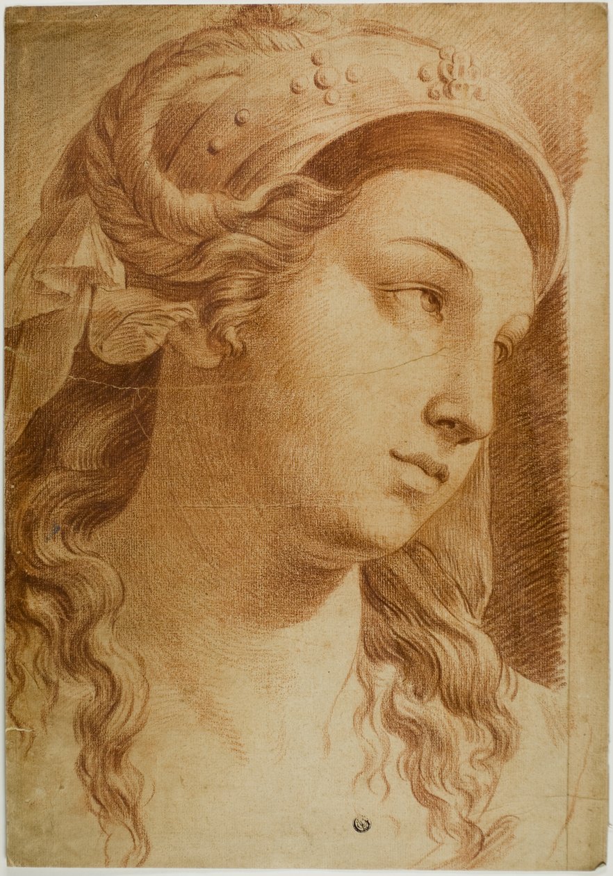 Chefe de Comit de Raphael