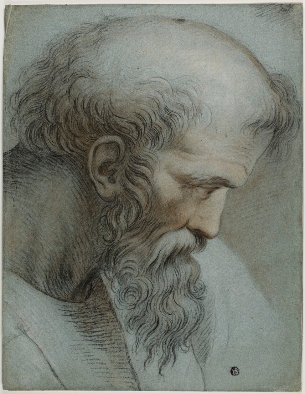 Cabeça de Pitágoras de Raphael