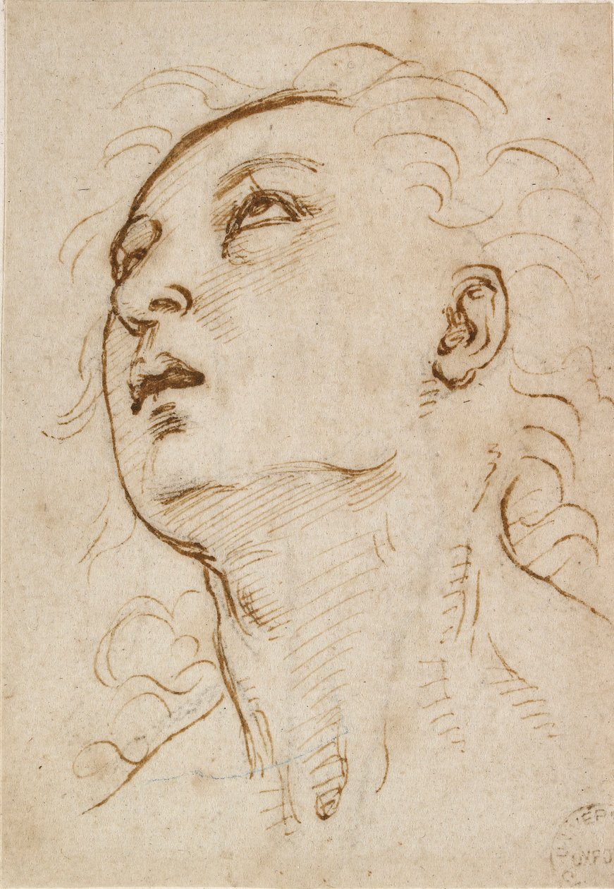 Cabeça de um jovem olhando para cima, c1497-c1504 de Raphael