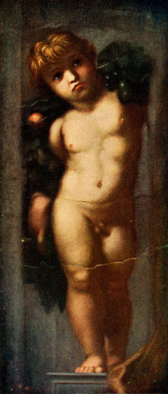 Putto com festão, c1510, c1912 de Raffaello Sanzio Raphael