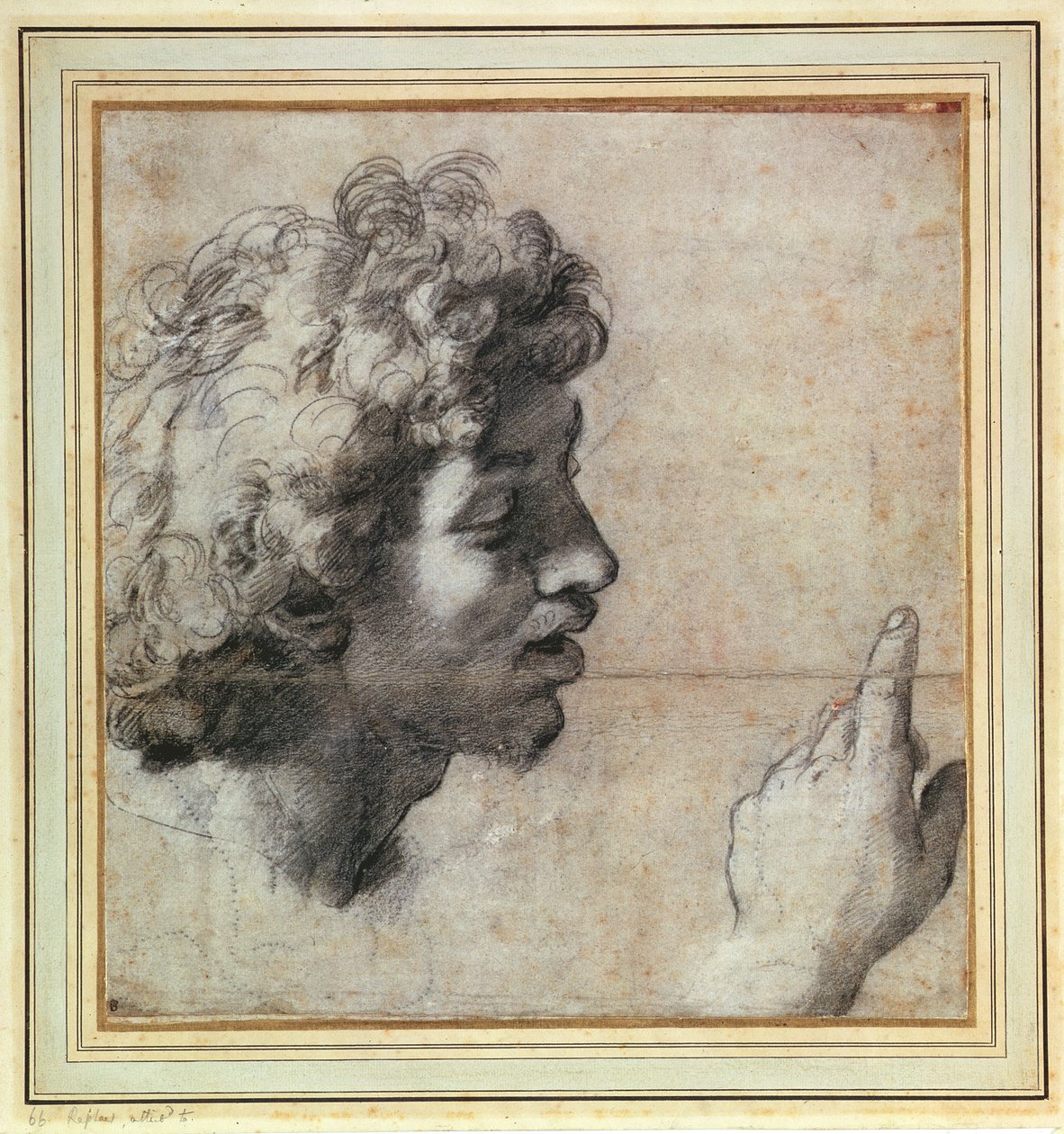 Estudos da cabeça e da mão de um homem de Raphael