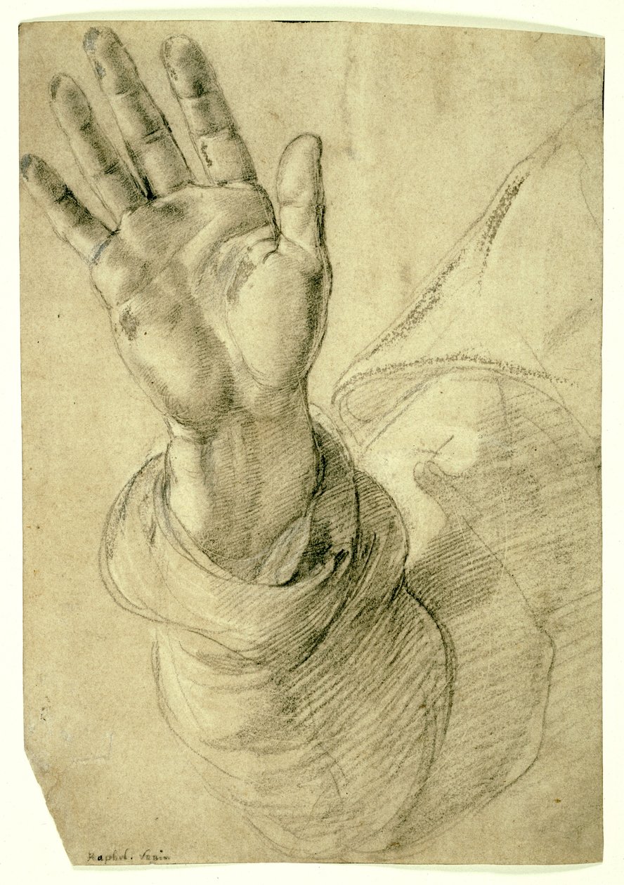 Mão direita levantada, com a palma voltada para fora: Estudo para São Pedro, 1518-20 de Raphael