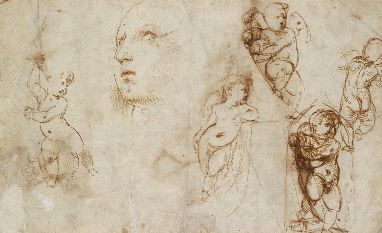 Vários estudos, principalmente para o Borghese-Beckford St Catherine, início do século 16 de Raphael