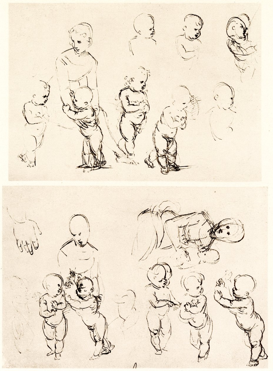 Vários projetos para Madonna no campo de Raffaello Sanzio Raphael