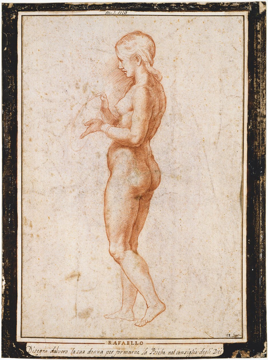 Figura feminina jovem de perfil, ca 1517. de Raphael