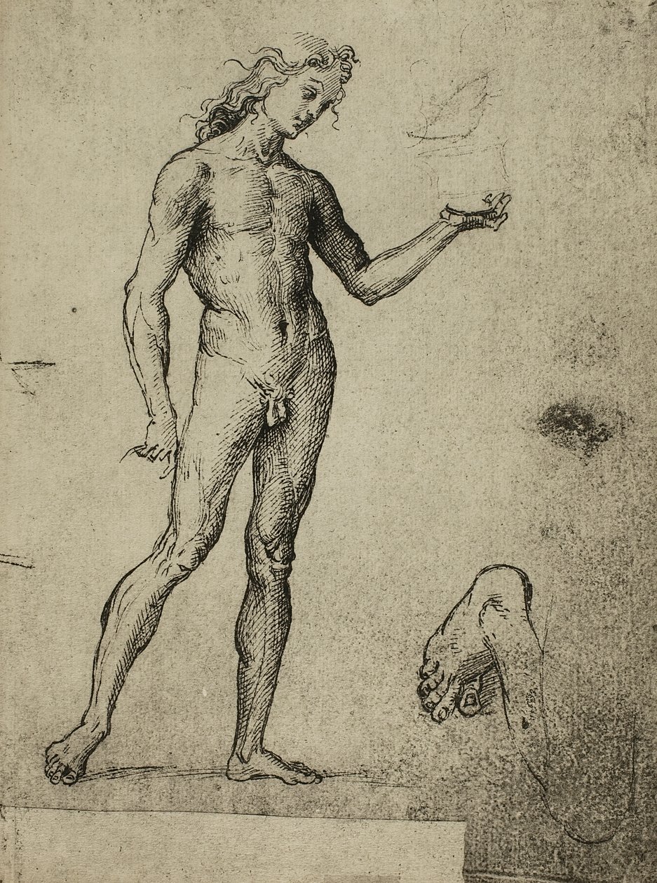 Estudo nu masculino; desenho de Raphael. Gallerie dellAccademia, Veneza de Raffaello Sanzio Raphael