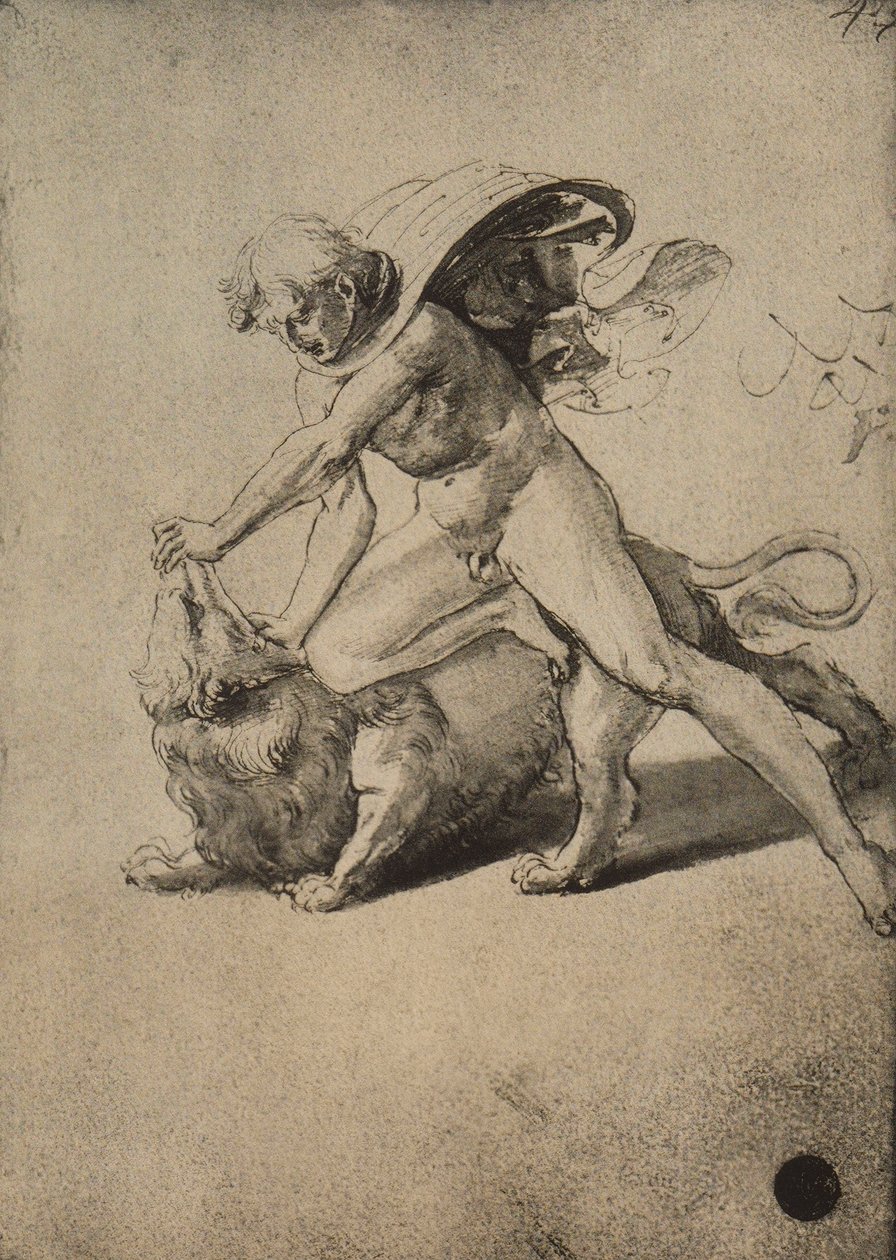 Sansão lutando contra o leão; desenho de Raphael. Gallerie dellAccademia, Veneza de Raffaello Sanzio Raphael